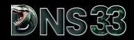 DNS33