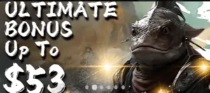 ultimate bonus